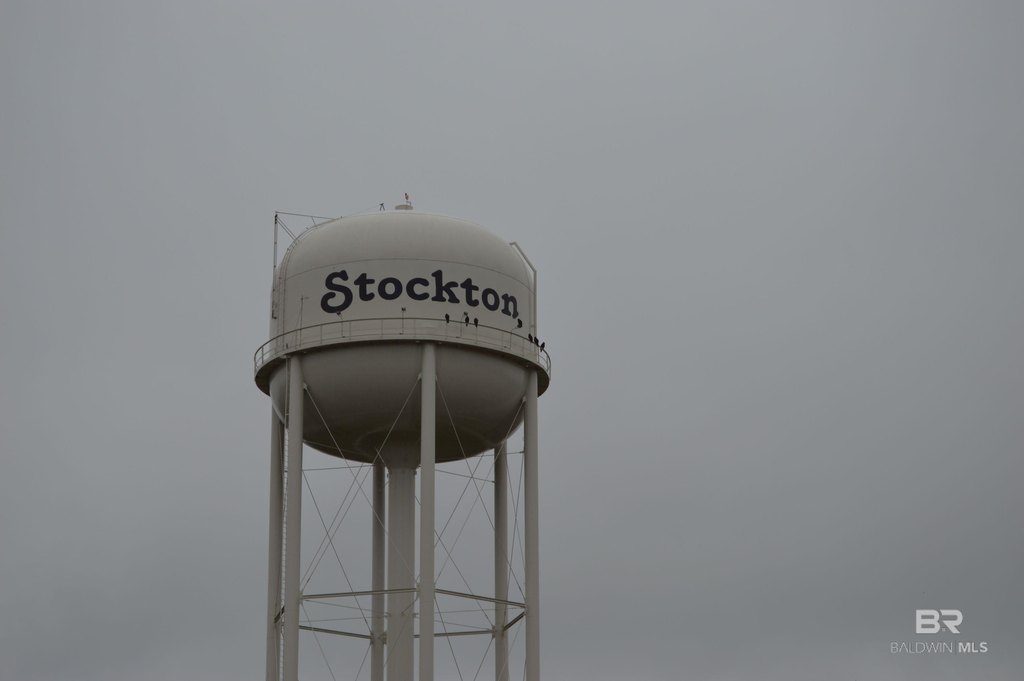 Picture 6