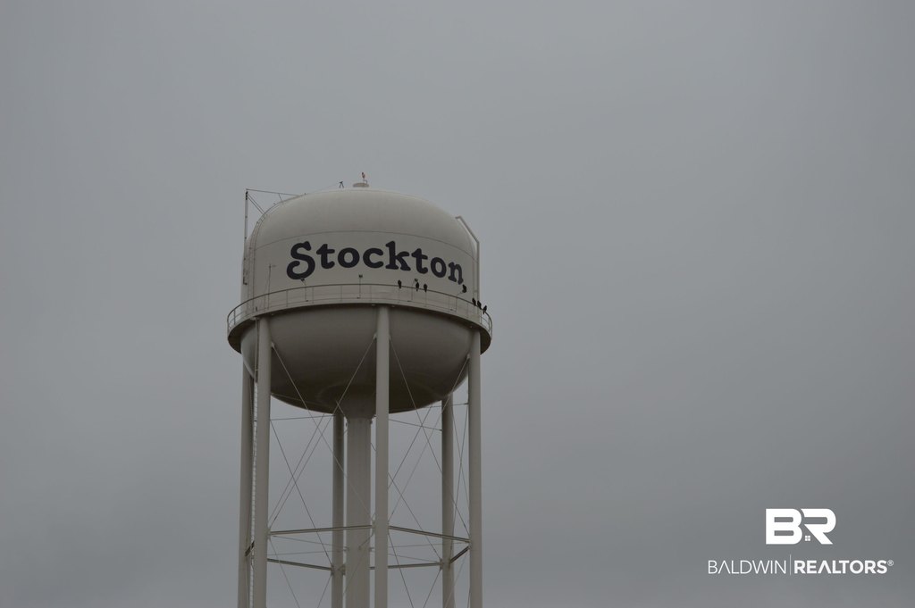 Picture 6