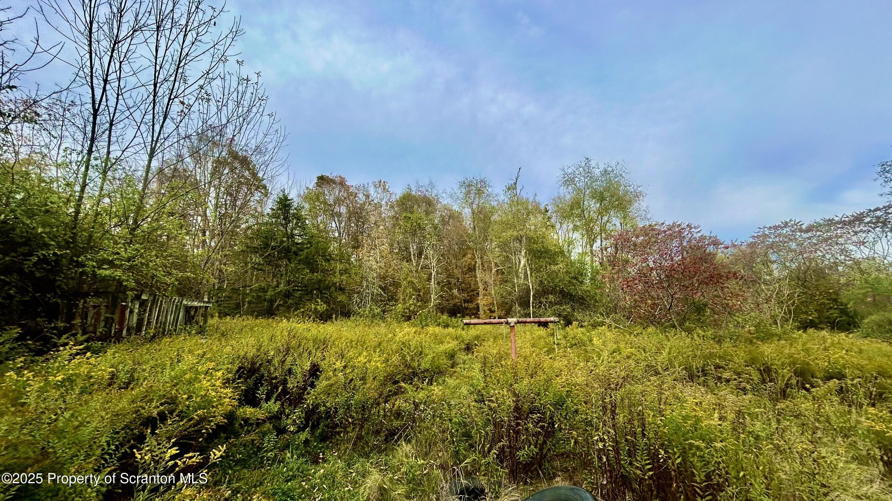 18 Acres with Lake Rights
