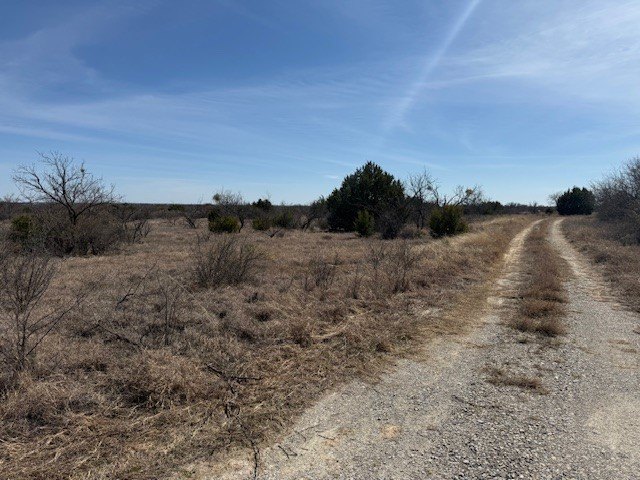 Picture 6