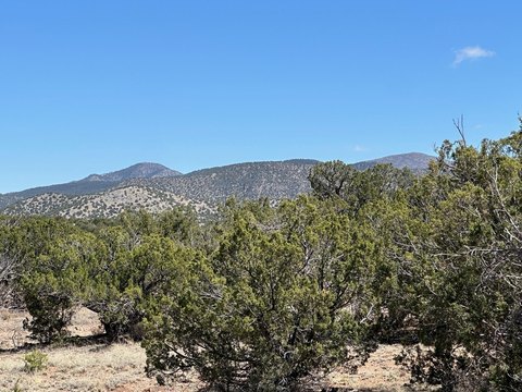Land, Sandia Park, NM
