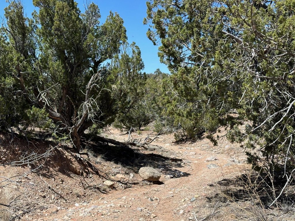 Picture 9