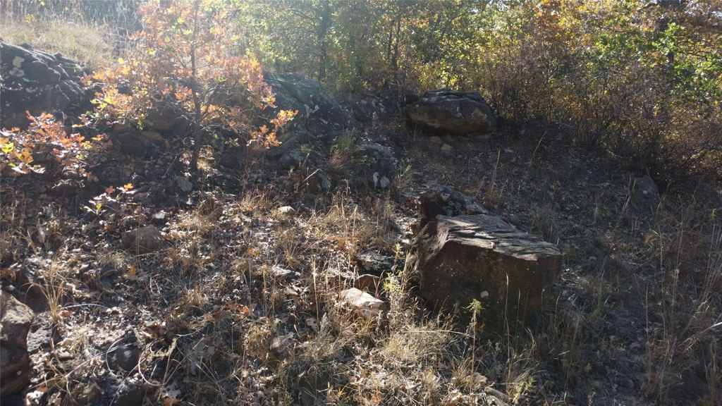 Picture 28