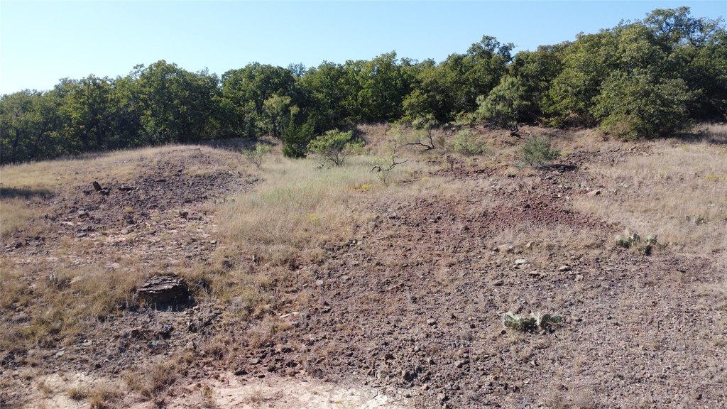 Picture 20