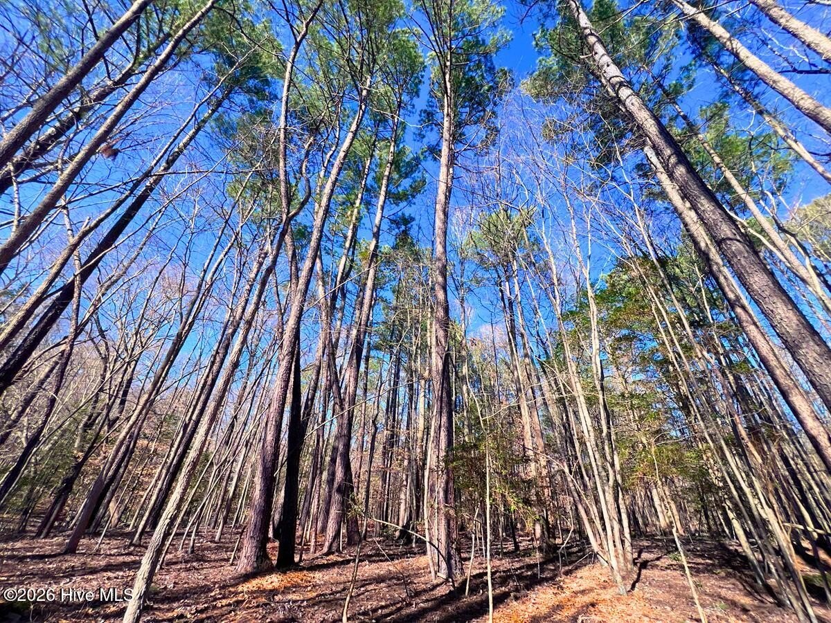 Wooded Land Near Spring Hope