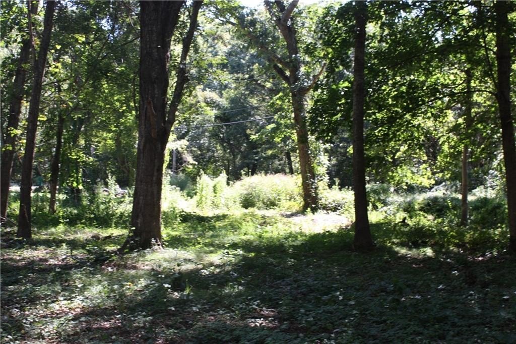 Picture 13