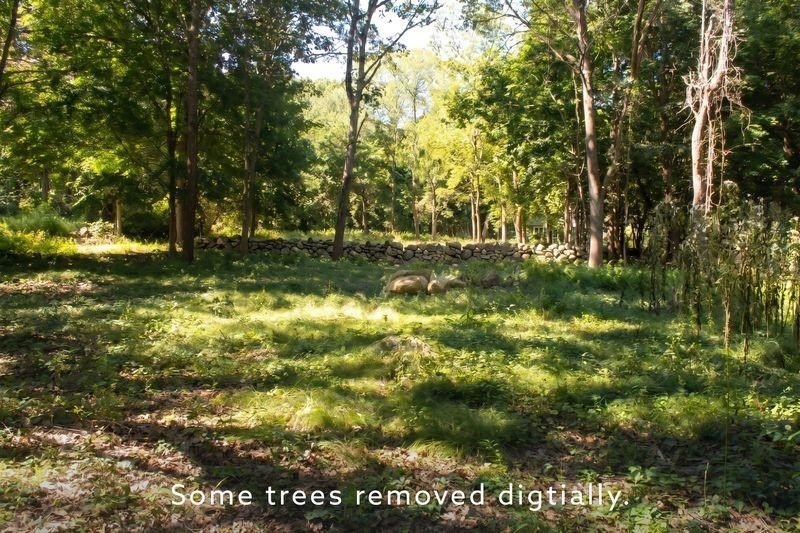Picture 3