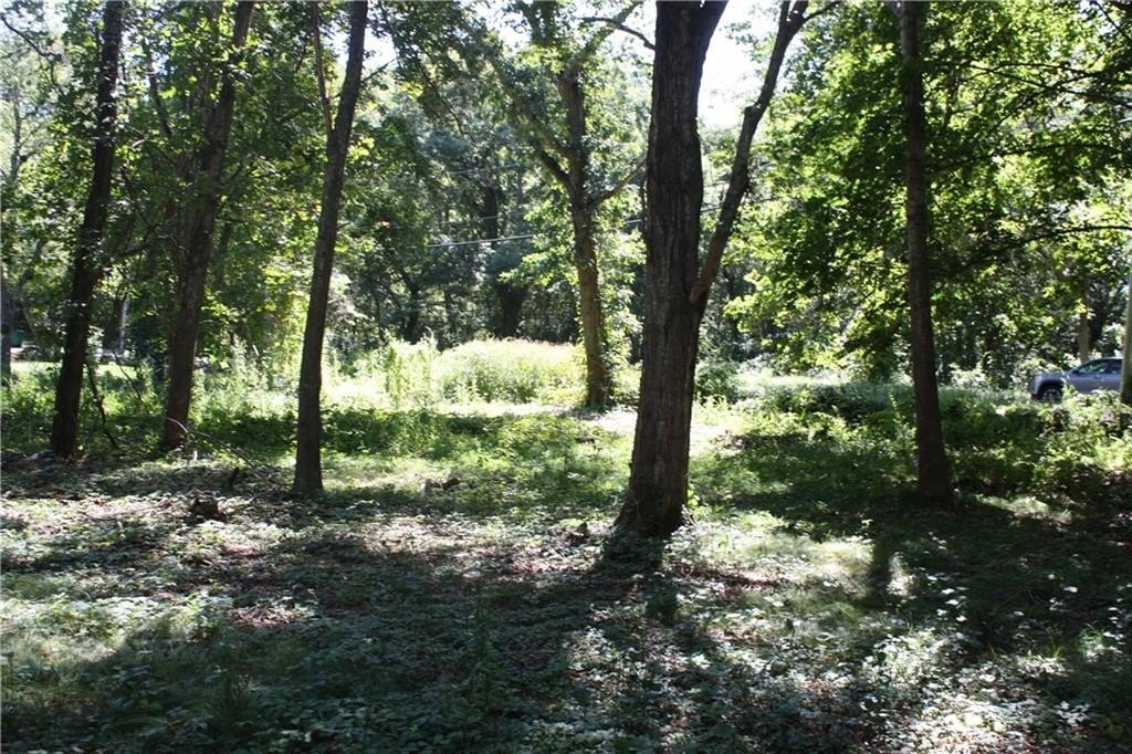 Picture 11