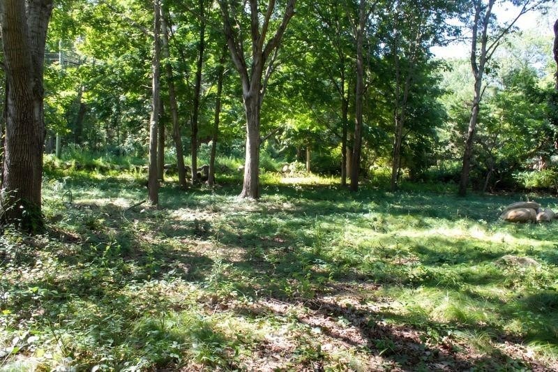 Picture 12