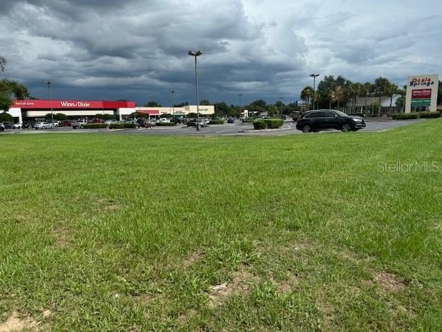 Picture 23
