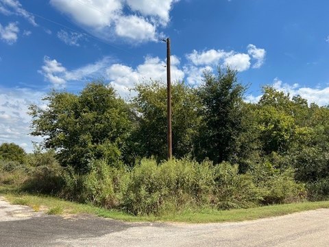 Wooded Corner Lot in Resort