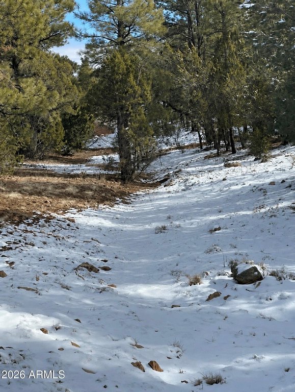 Picture 7