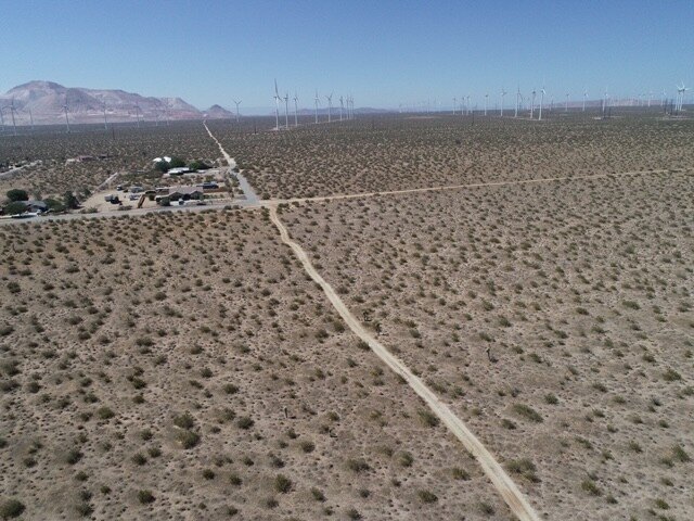 Picture 17