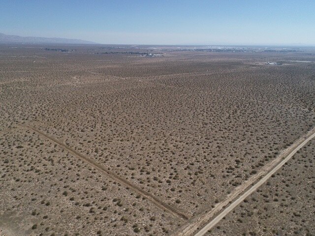 Picture 15