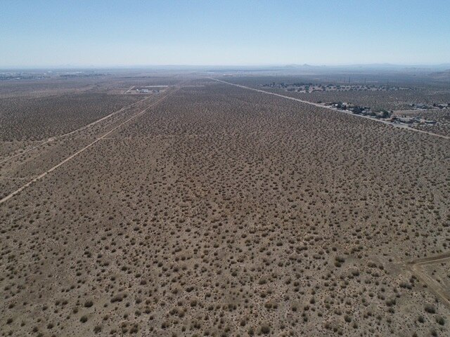 Picture 14