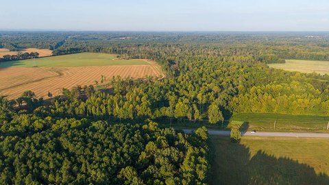 Land, Florence, AL