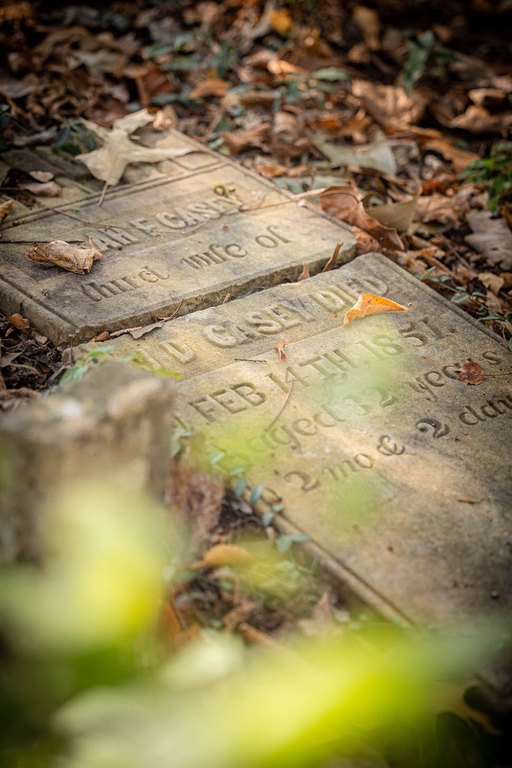 Picture 47
