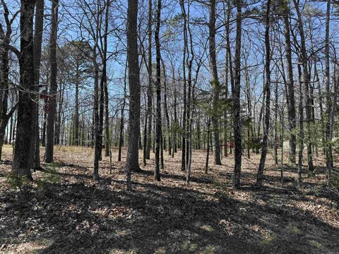 Vacant Land, Fairfield Bay, AR
