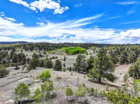 5-Acre Mountain Property in Hartsel