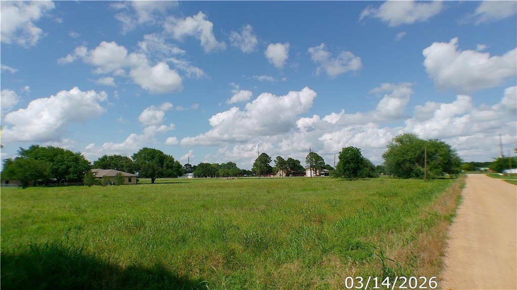 Picture 2