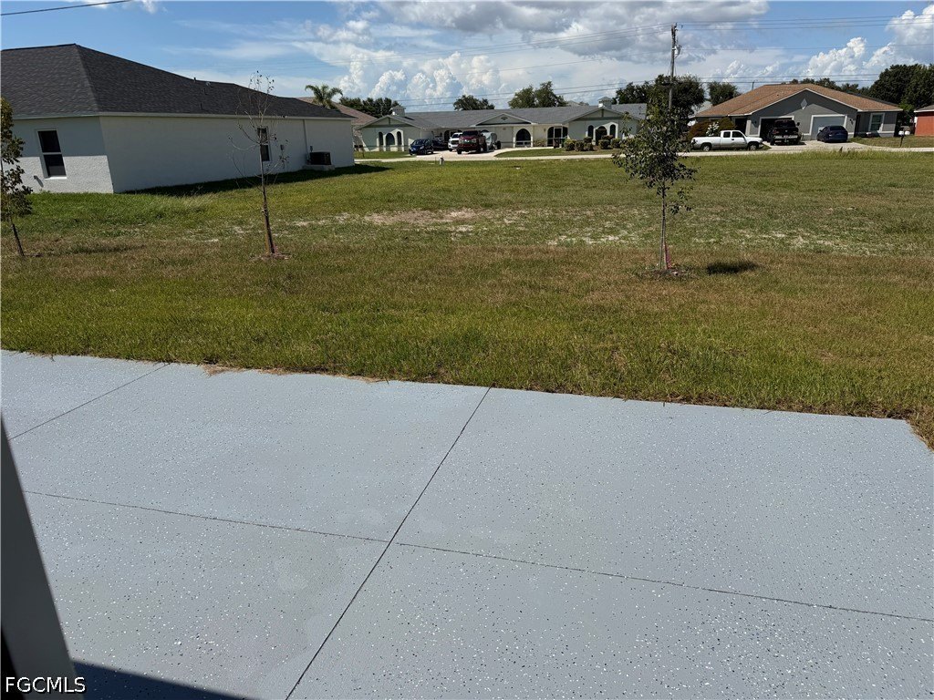 Picture 12