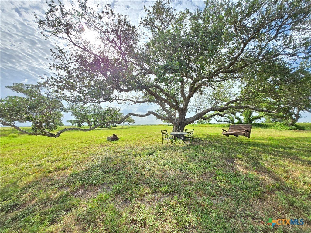 Picture 31