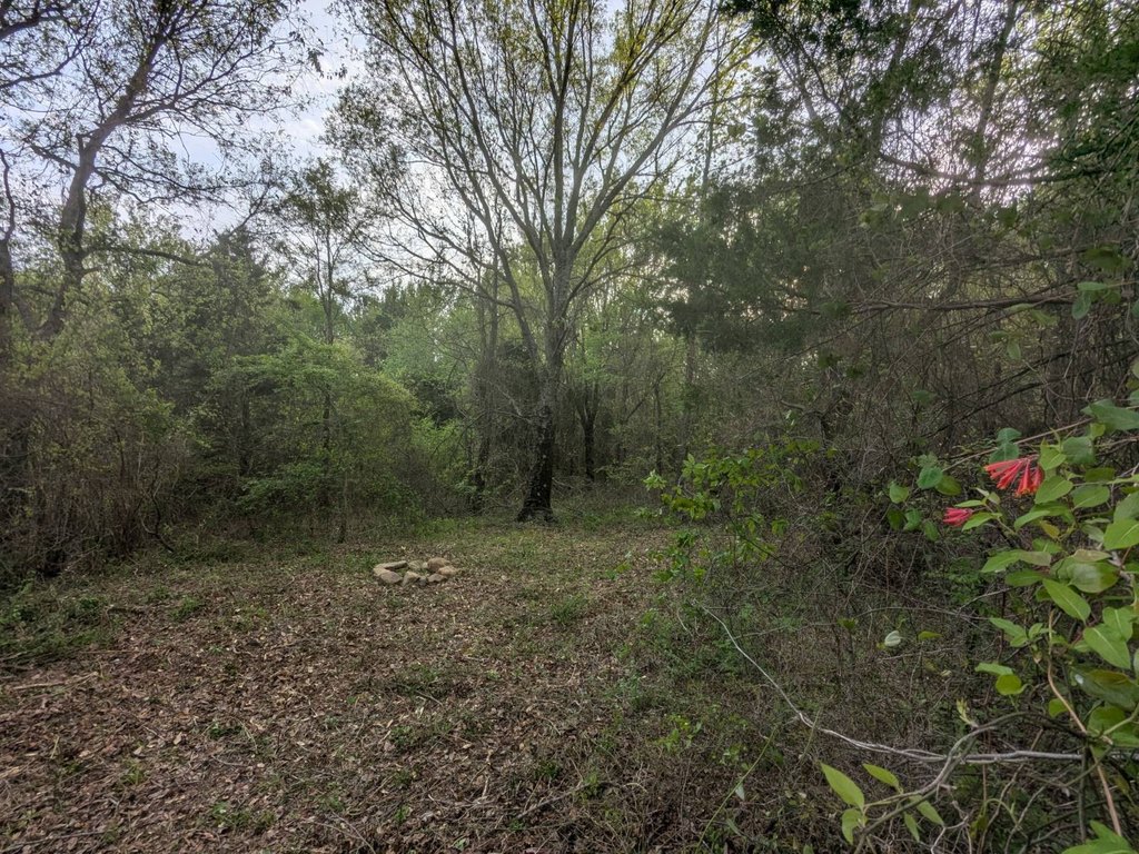 Picture 18