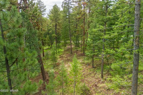 Greer, AZ Acre Lot
