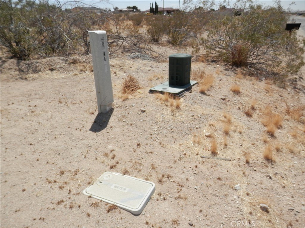 Picture 15