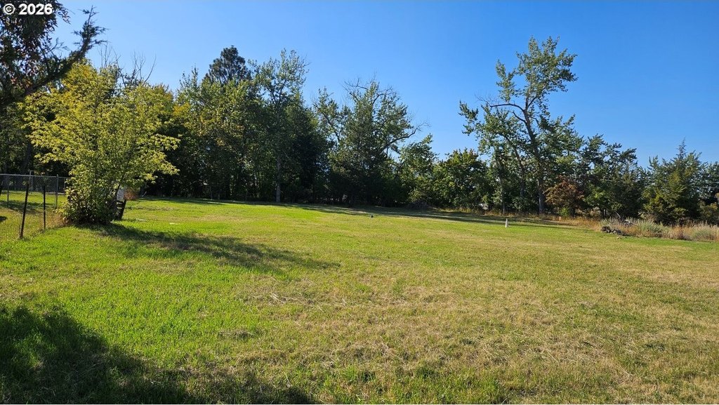 Picture 3