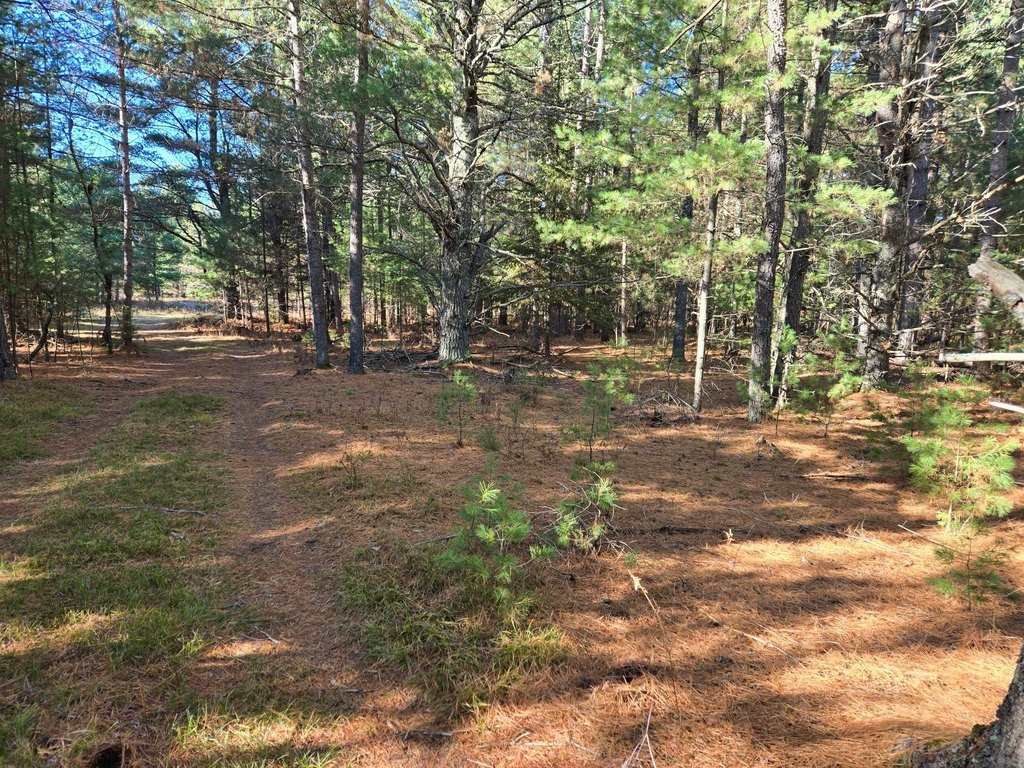 Picture 21