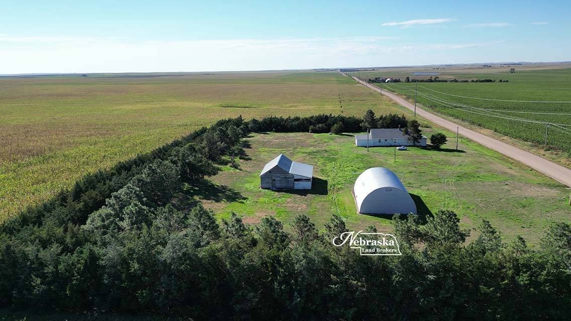 Productive Elsie Non-Irrigated Cropland Farm