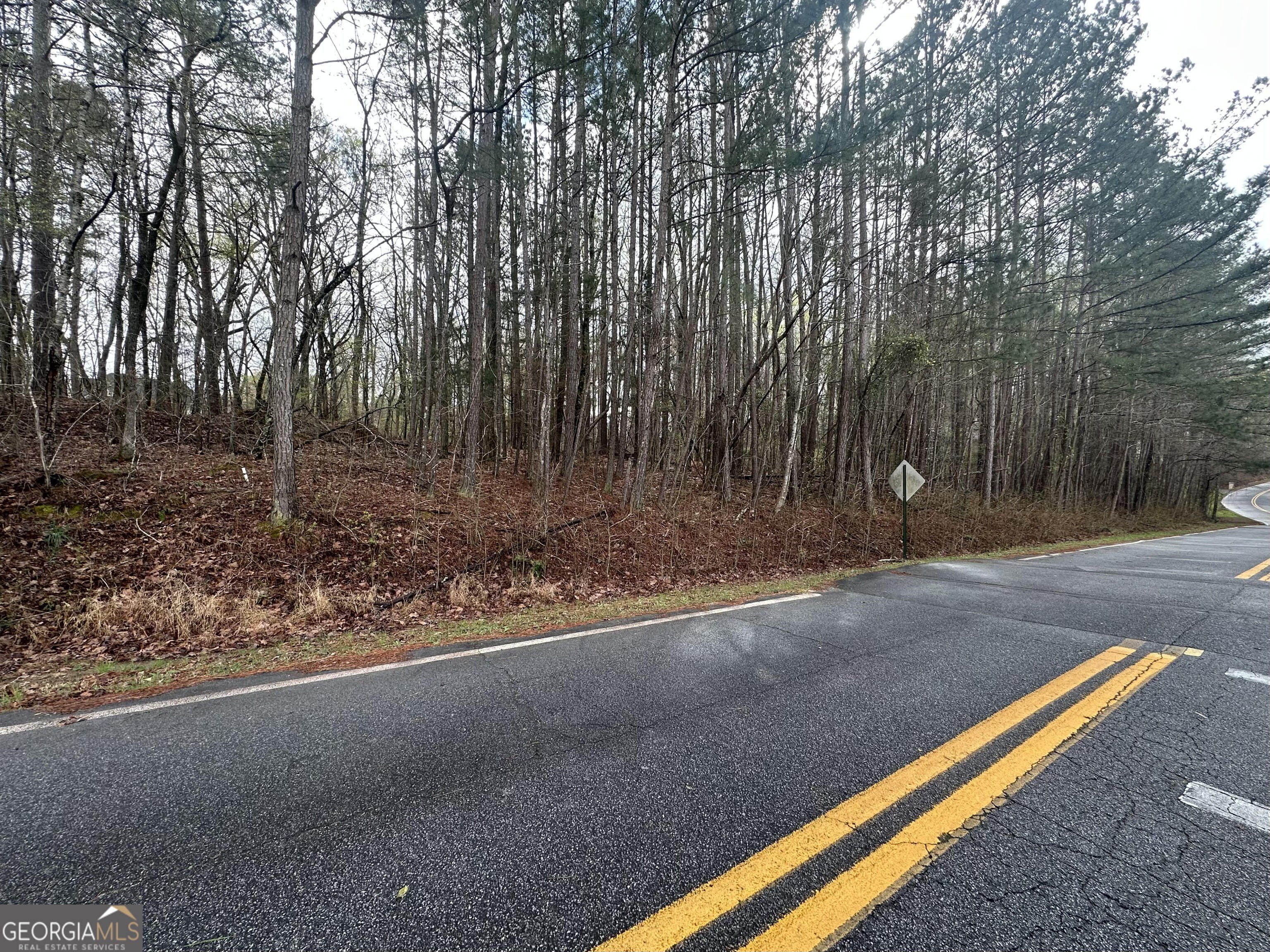 Residential Lot in Lake Dow Estates