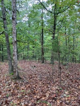 Wooded Acreage Near National Forest