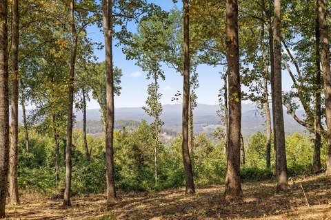 Vacant Lot, Talking Rock, GA
