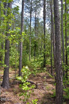 LAND - Louisburg, NC