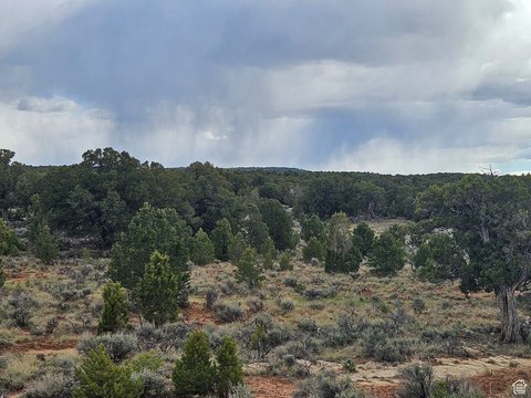 5 Acre Lot in Fruitland