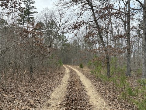 Land Bordering Mark Twain Forest
