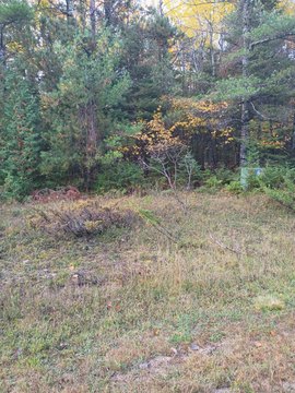 Land, Presque Isle, MI