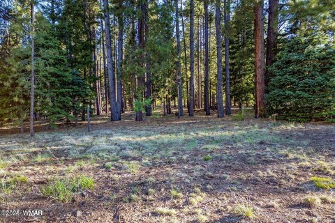 Greer, AZ Acreage for Sale