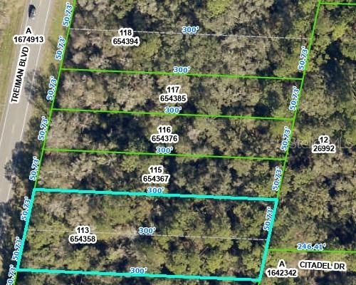 Oversized Wooded Lot on Highway