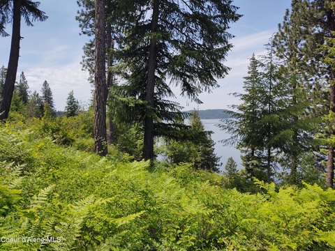 Lake View Land in Harrison