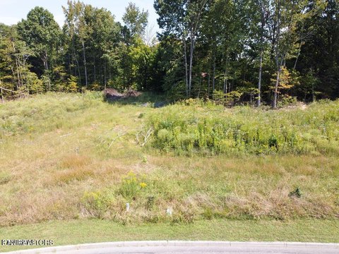 Residential Land in Athens, TN