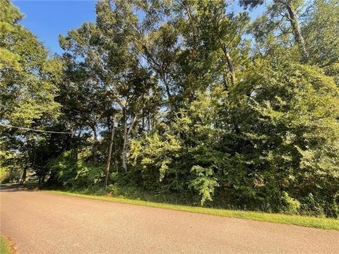 Residential Lot in River Forest