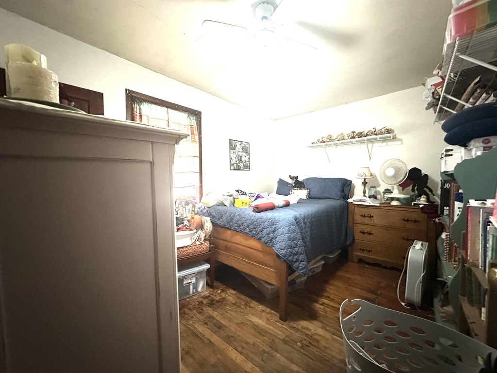 Picture 46