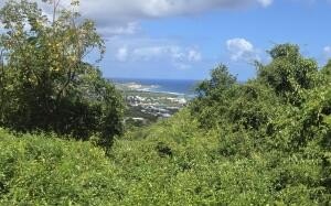 Land - St. Croix, VI