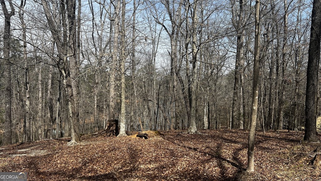 Picture 41