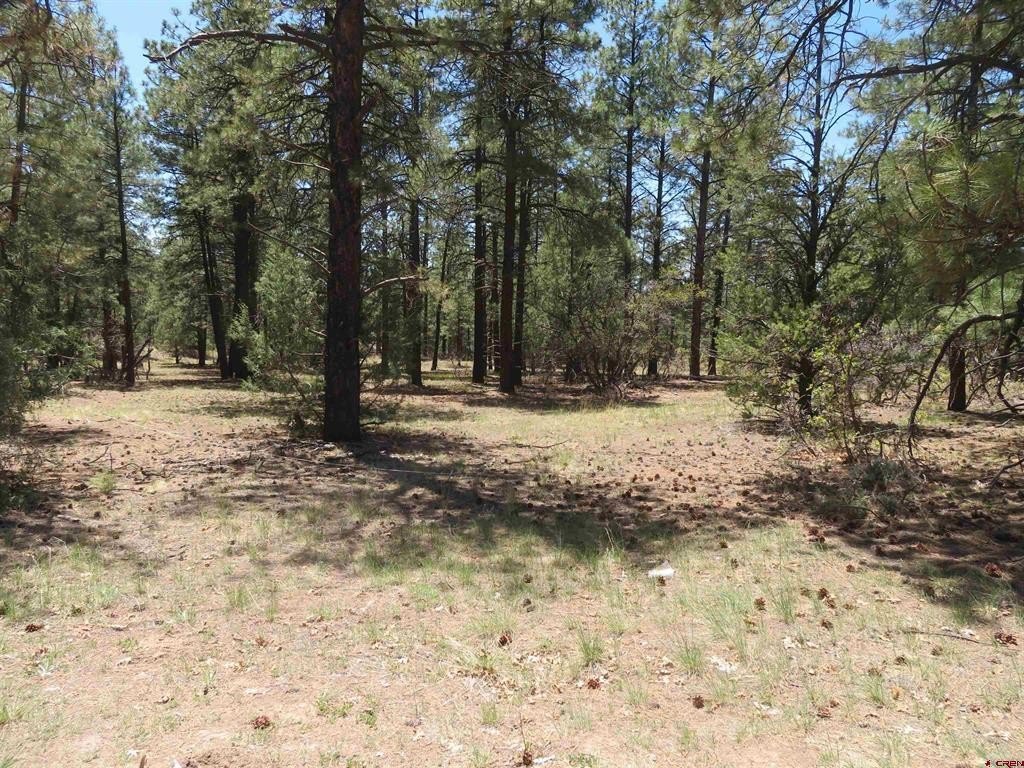 Land in Pagosa Springs, CO