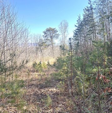 Whittier, NC 1.58 Acre Lot
