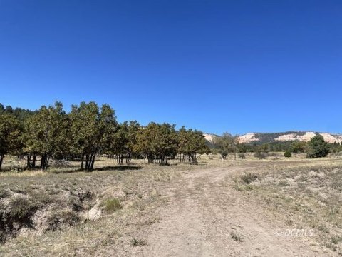 Residential Lots in Duck Creek